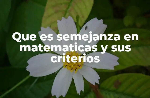 Que es Semejanza en Matematicas y Sus Criterios