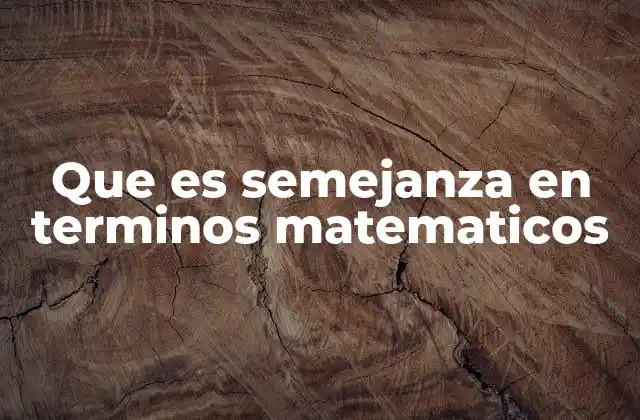 Que es Semejanza en Terminos Matematicos