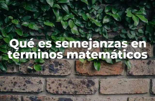 Qué es Semejanzas en Términos Matemáticos 2 La relación entre figuras geométricas sin mencionar directamente el concepto