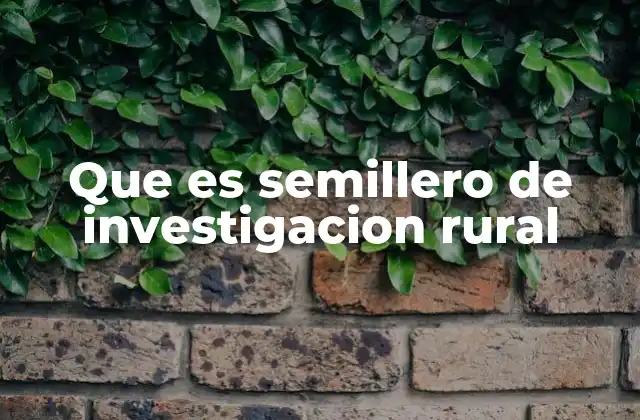 Que es Semillero de Investigacion Rural