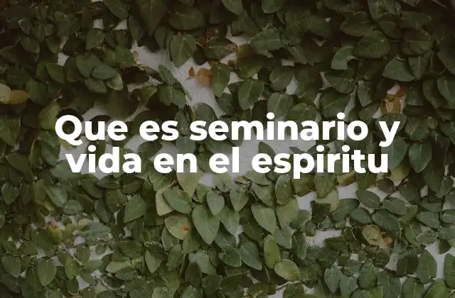 Que es Seminario y Vida en el Espiritu