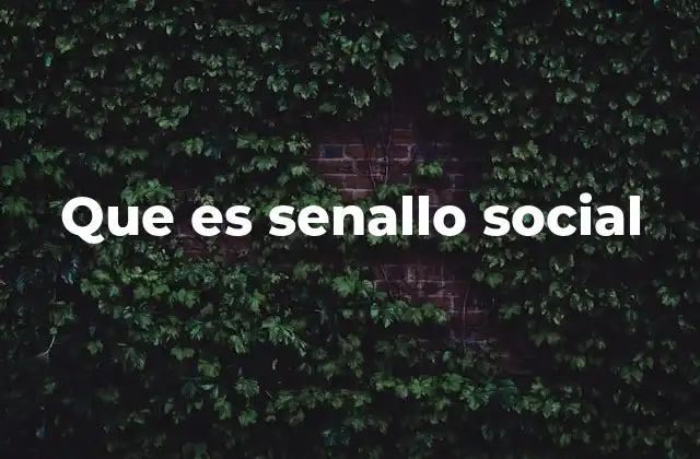 Que es Senallo Social