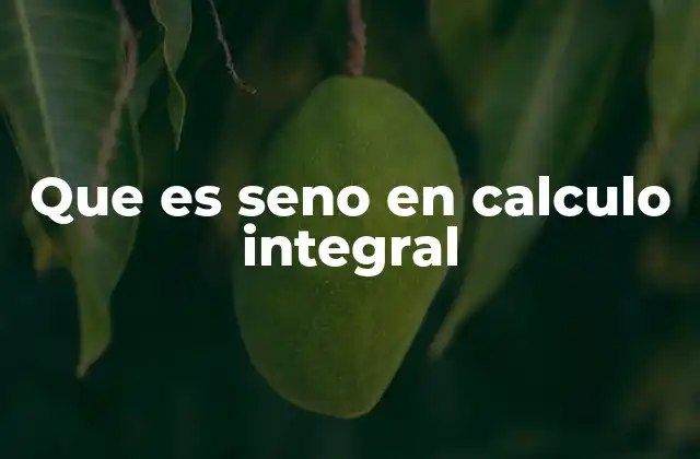 Que es Seno en Calculo Integral