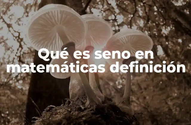 La importancia del seno en la trigonometría