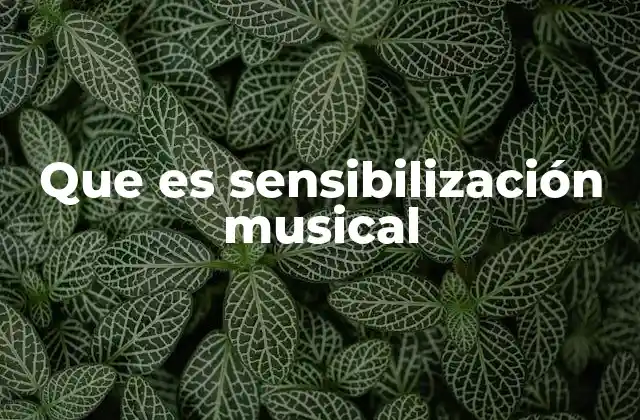 Que es Sensibilización Musical