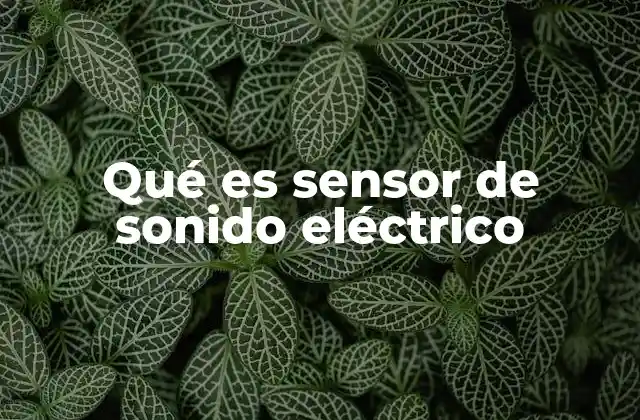 La importancia del sensor de sonido en la tecnología moderna