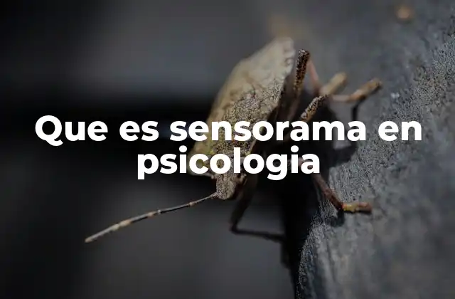 Que es Sensorama en Psicologia