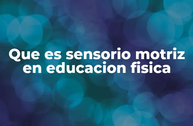 Que es Sensorio Motriz en Educacion Fisica