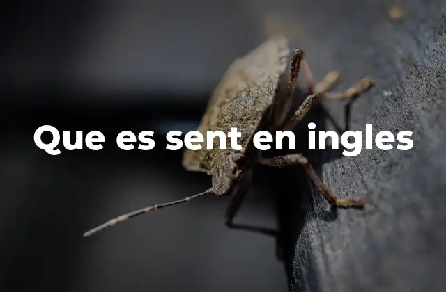 El uso de sent en contextos comunes