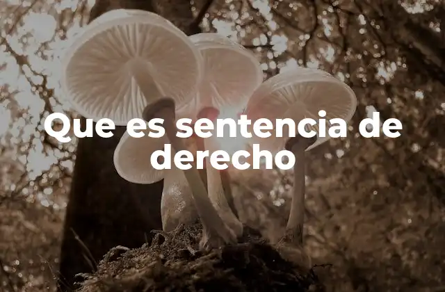 Que es Sentencia de Derecho