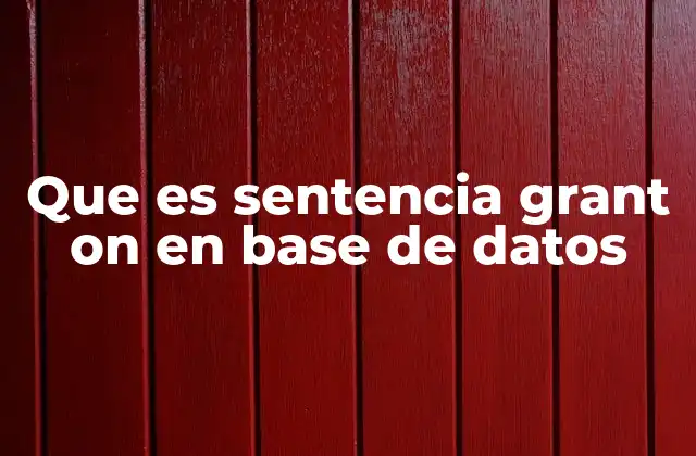 Que es Sentencia Grant On en Base de Datos
