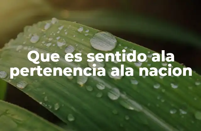 Que es Sentido Ala Pertenencia Ala Nacion 2 La base emocional de la conexión con el país