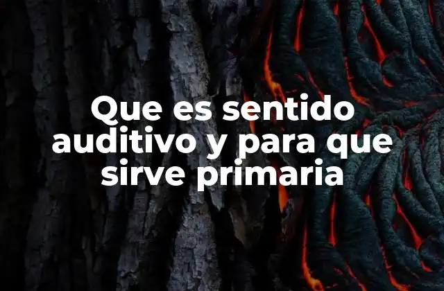 Que es Sentido Auditivo y para que Sirve Primaria