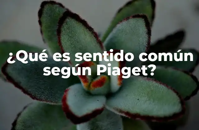 ¿qué es Sentido Común según Piaget?