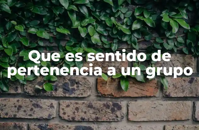 Que es Sentido de Pertenencia a un Grupo