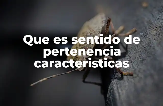 Que es Sentido de Pertenencia Caracteristicas