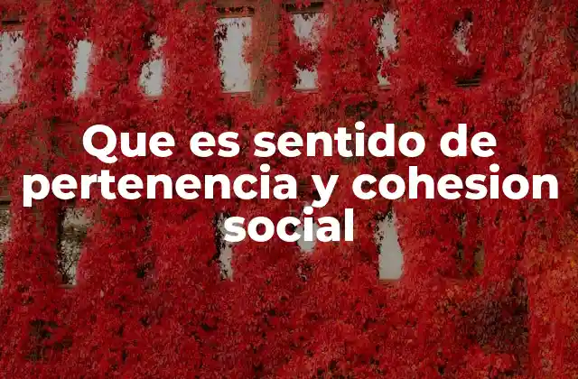 Que es Sentido de Pertenencia y Cohesion Social
