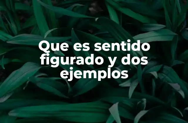 El lenguaje más allá del literal