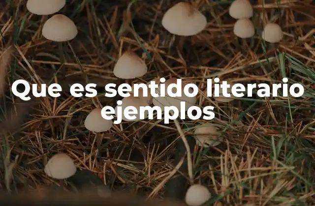 Que es Sentido Literario Ejemplos