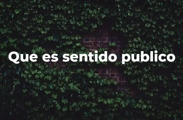 Que es Sentido Publico