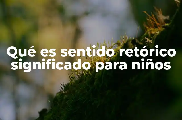 Qué es Sentido Retórico Significado para Niños