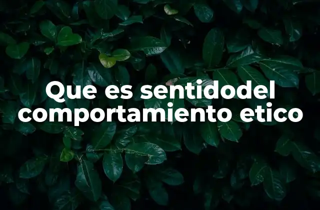 Que es Sentidodel Comportamiento Etico