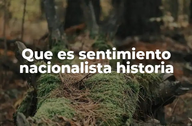Que es Sentimiento Nacionalista Historia