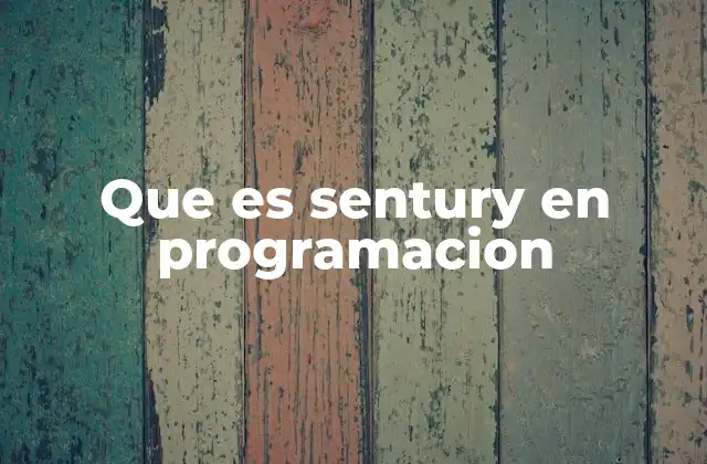 Que es Sentury en Programacion