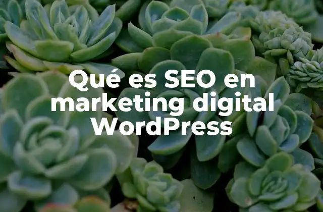 Qué es Seo en Marketing Digital WordPress