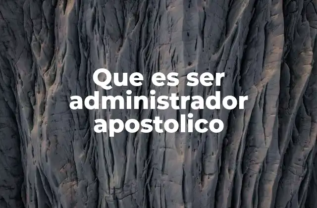 Que es Ser Administrador Apostolico