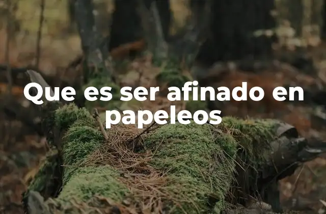 Que es Ser Afinado en Papeleos