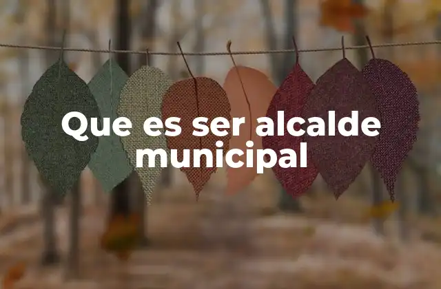 Que es Ser Alcalde Municipal