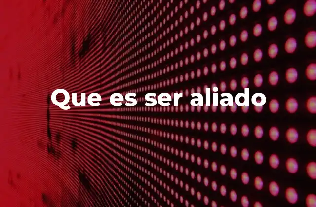 Que es Ser Aliado 2 La importancia de la solidaridad activa