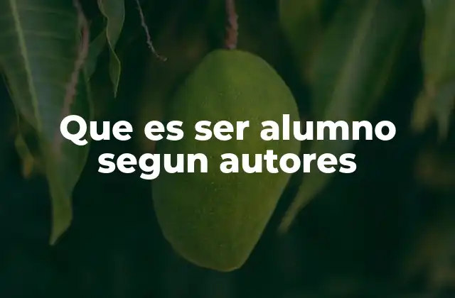 Que es Ser Alumno Segun Autores