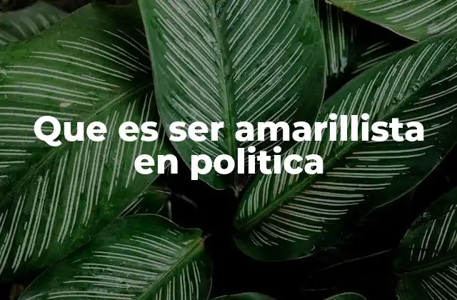 Que es Ser Amarillista en Politica