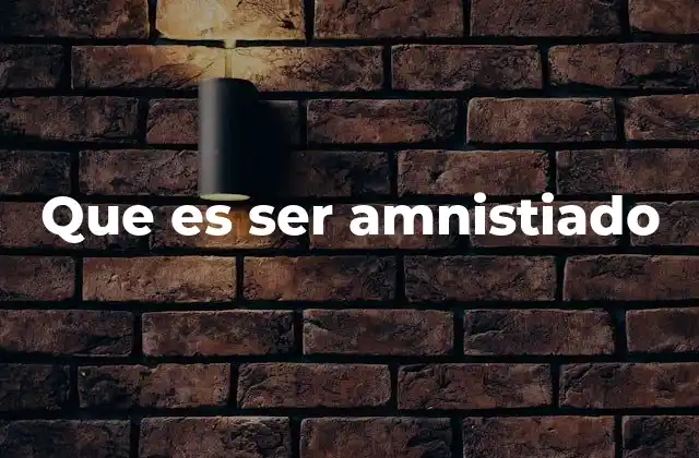 Que es Ser Amnistiado