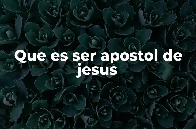 Que es Ser Apostol de Jesus