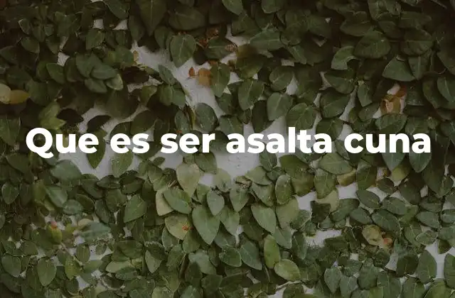 Que es Ser Asalta Cuna