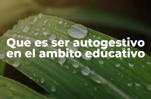 Que es Ser Autogestivo en el Ambito Educativo