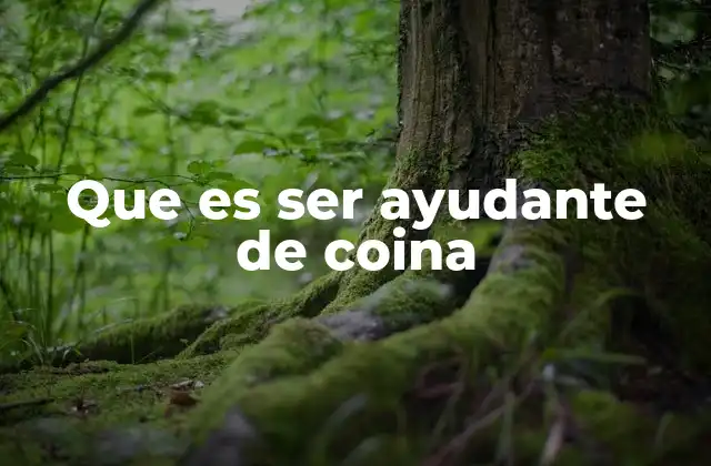 Que es Ser Ayudante de Coina