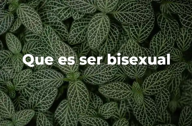 Que es Ser Bisexual