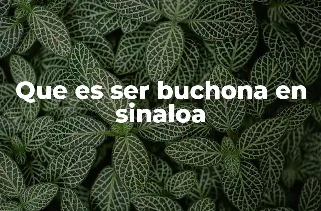 Que es Ser Buchona en Sinaloa 2 Más allá del físico: la cultura de las buchonas en Sinaloa