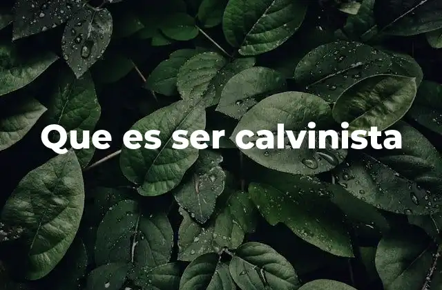 Que es Ser Calvinista