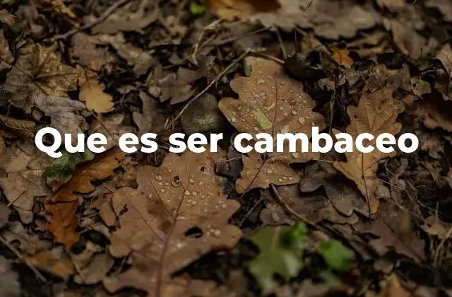 La actitud de alguien que es cambaceo