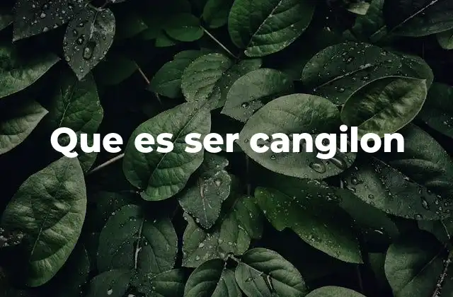 Que es Ser Cangilon