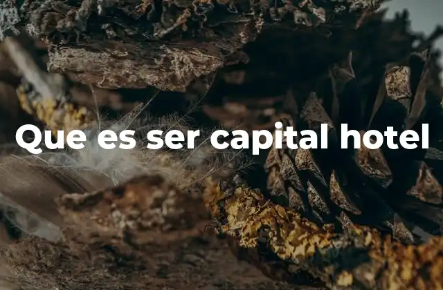 Que es Ser Capital Hotel
