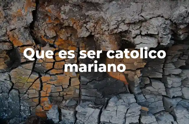 Que es Ser Catolico Mariano 2 La importancia de la Virgen María en la espiritualidad católica