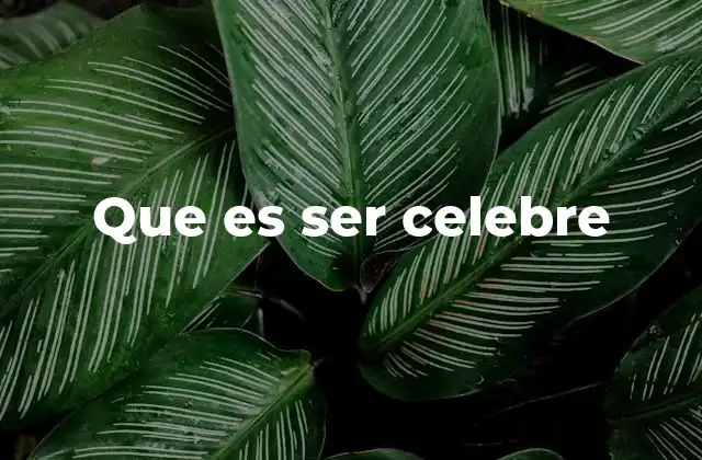 Que es Ser Celebre 2 El impacto de la celebridad en la sociedad moderna
