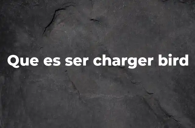 El Charger Bird como símbolo de energía y positividad