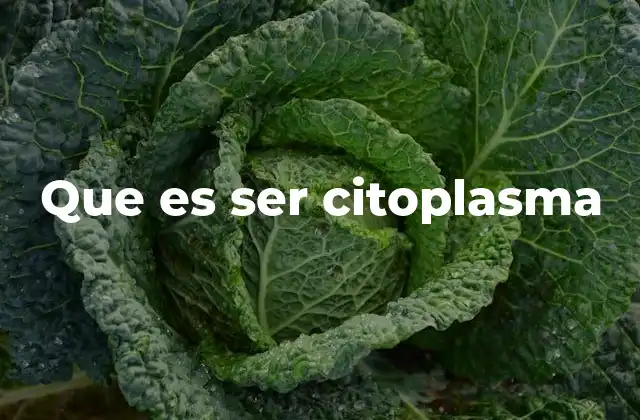 Que es Ser Citoplasma